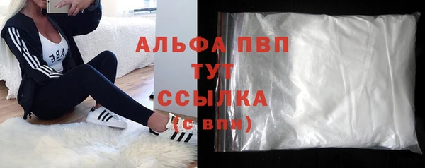 стаф Алексин