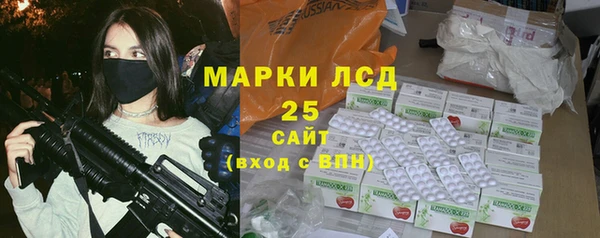стаф Алексин