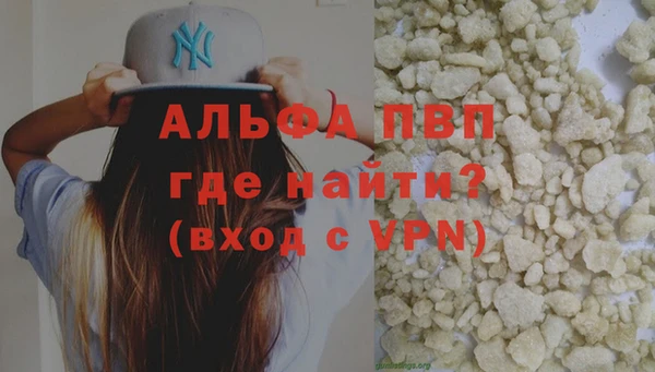 стаф Алексин