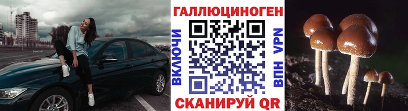 где купить наркоту  KRAKEN вход  Галлюциногенные грибы прущие грибы  Бабаево 